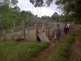 Retirement Farm Lot 3 ID 1760 HCA589, St. Mary, Jamaica - Commercial/farm land for Sale
